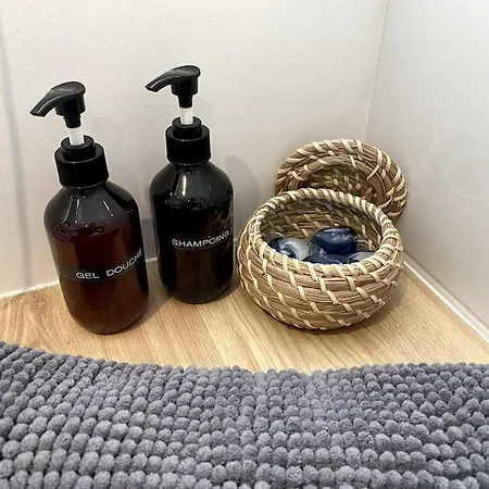 Apartment Le Burdeau, Studio Cosy Lyon